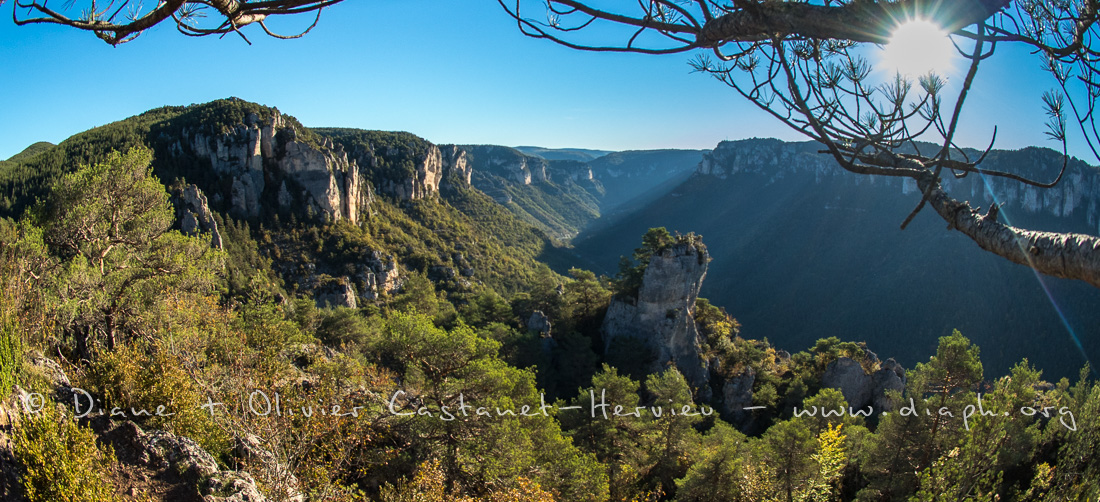 Gorge de la jointe depuis le sentier de corniche