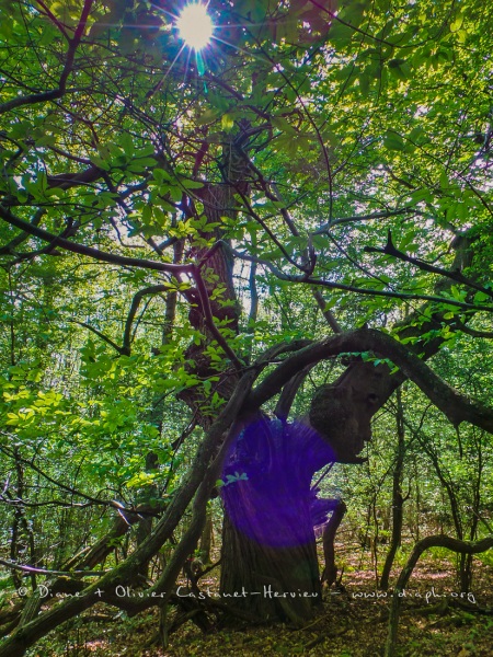 20140503_163305_HDR.jpg