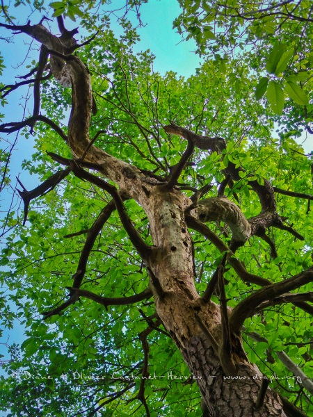 20140503_171533_HDR.jpg