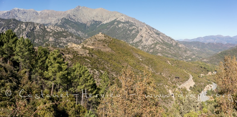 IMG_4421-Panorama.jpg