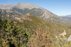 IMG_4421-Panorama.jpg