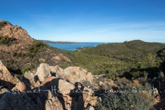 IMG_4595-Panorama.jpg