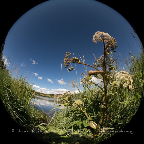 Au raz du sol, paysages de Haute Ardèche