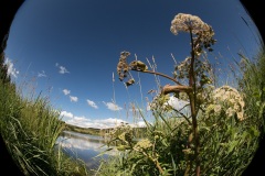 Au raz du sol, paysages de Haute Ardèche