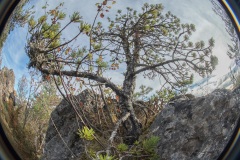 Paysage du causse au fisheye