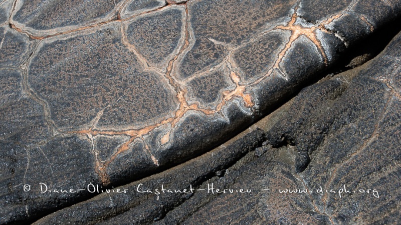 Coulées de lave, île de Santiago, Bahia Sullivan - îles Galapagos