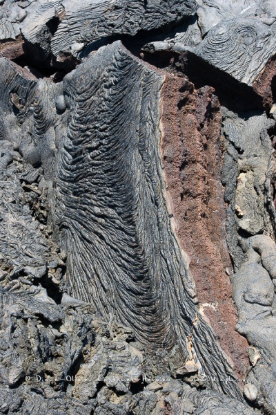 Coulées de lave, île de Santiago, Bahia Sullivan - îles Galapagos