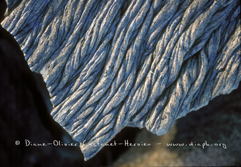 Détail de laves cordées - ïles Galapagos