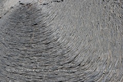 Coulées de lave, île de Santiago, Bahia Sullivan - îles Galapagos