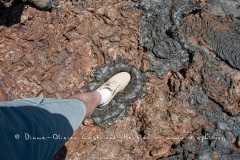 Coulées de lave, île de Santiago, Bahia Sullivan - îles Galapagos