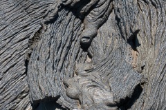 Coulées de lave, île de Santiago, Bahia Sullivan - îles Galapagos