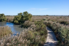 Pascale-Hervieu-2010-Pont de Gau-1469