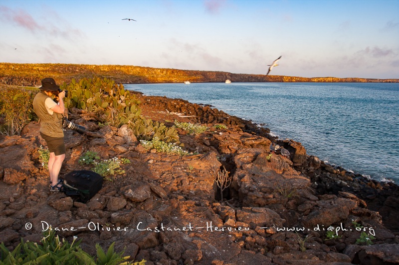 Paysage île de Génovesa, îles Galapagos