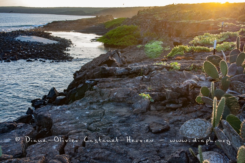 Paysage île de Génovesa, îles Galapagos