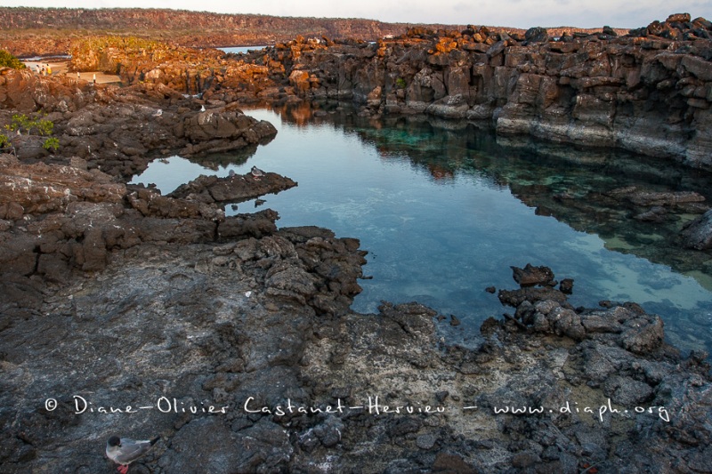 Paysage île de Génovesa, îles Galapagos