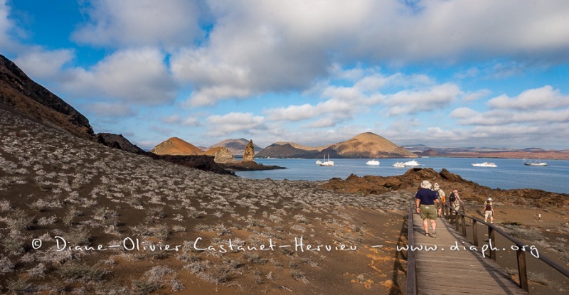 Payysage des Galapagos, île de Bartholomé