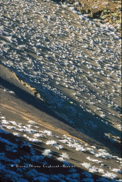 paysage volcanique - île de Bartholome, ïles Galapagos