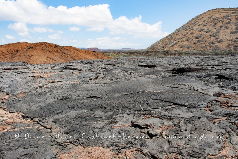 Coulées de lave, île de Santiago, Bahia Sullivan - îles Galapagos