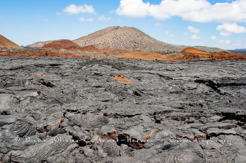 Coulées de lave, île de Santiago, Bahia Sullivan - îles Galapagos