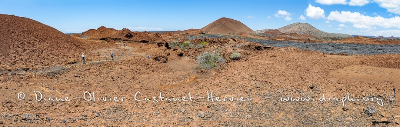 Coulées de lave, île de Santiago, Bahia Sullivan - îles Galapagos