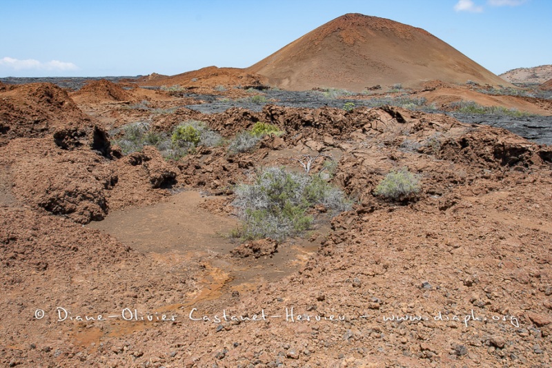 Coulées de lave, île de Santiago, Bahia Sullivan - îles Galapagos