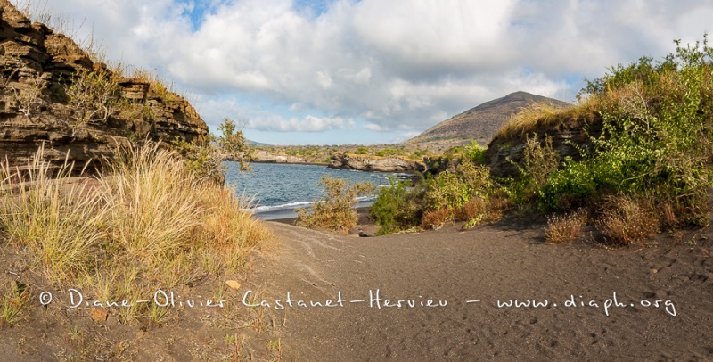 Paysage des Galapagos, île de  Santiago