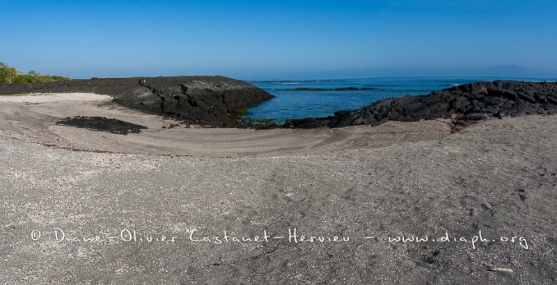 Paysage de l'Estran, ïle Fernandina, - ïles Galapagos