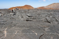 Coulées de lave, île de Santiago, Bahia Sullivan - îles Galapagos