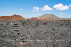 Coulées de lave, île de Santiago, Bahia Sullivan - îles Galapagos