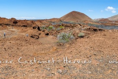 Coulées de lave, île de Santiago, Bahia Sullivan - îles Galapagos