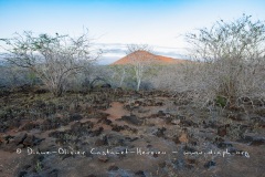 Paysage des Galapagos, île de Floreana