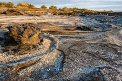 Paysage de l'Estran, ïle santiago - ïles Galapagos