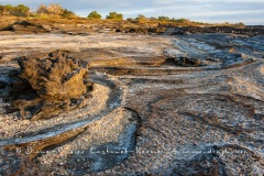 Paysage de l'Estran, ïle santiago - ïles Galapagos