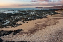 Paysage de l'Estran, ïle santiago - ïles Galapagos