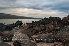 Paysage de l'Estran, ïle Isabela - ïles Galapagos