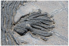 Coulées de lave, île de Santiago, Bahia Sullivan - îles Galapagos