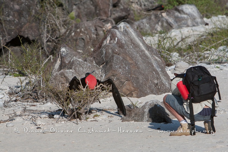 Touristes_003___MG_0784