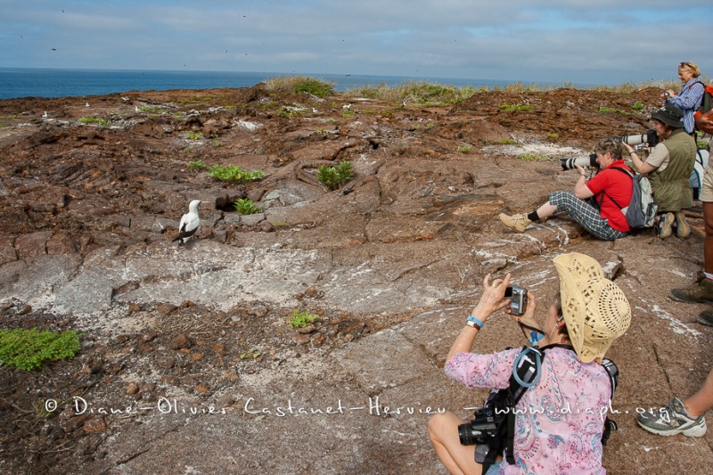 Touristes_004___MG_0210