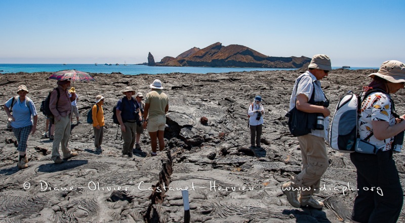 Coulées de lave, île de Santiago, Bahia Sullivan - îles Galapagos