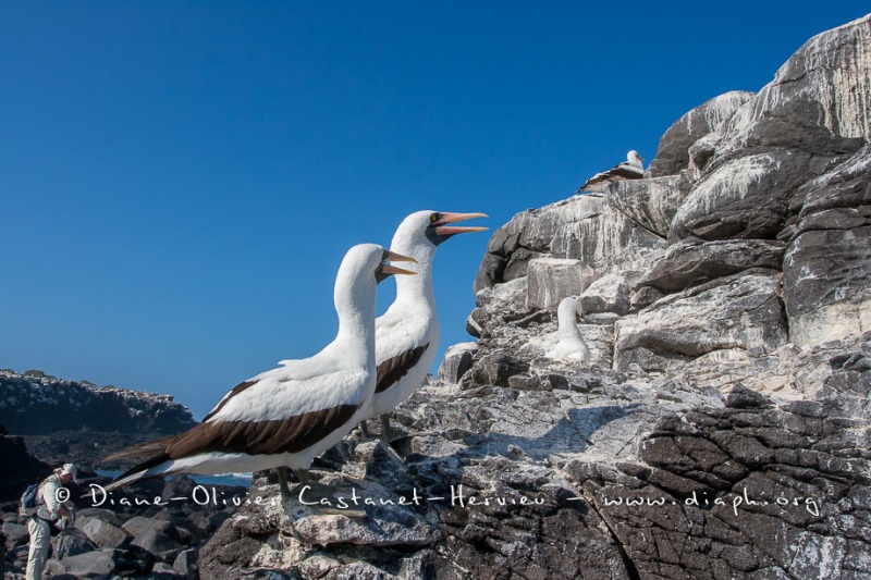 Touristes_019___MG_0823-2