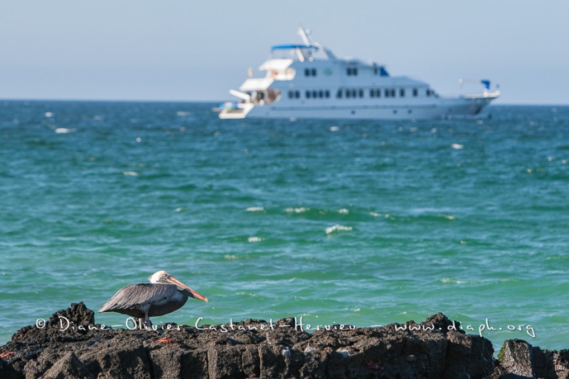 Bateau de croisière aux Galapagos