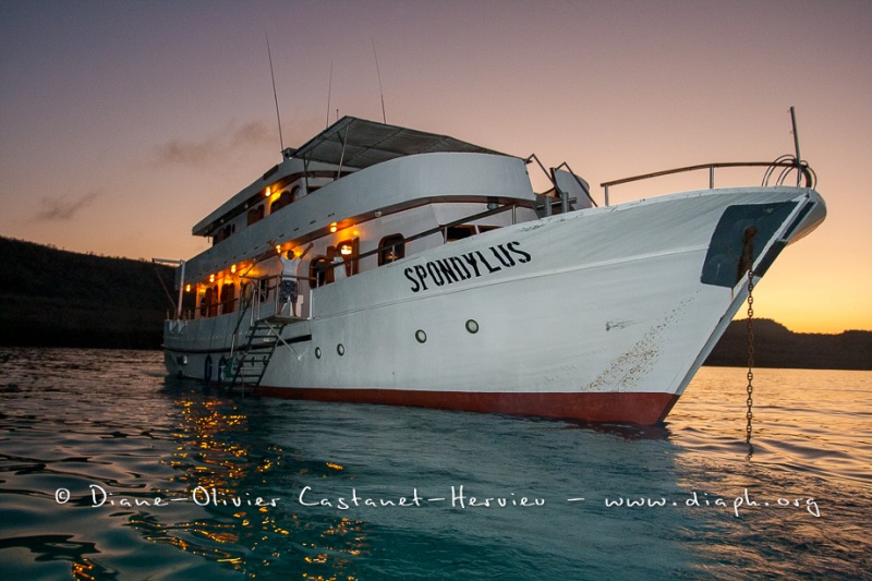 Bateau de croisière aux Galapagos