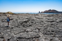 Coulées de lave, île de Santiago, Bahia Sullivan - îles Galapagos