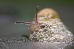 2019-11-09-11-41-08-CSmoothing3