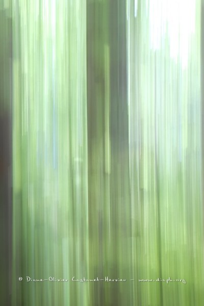 vision artistique