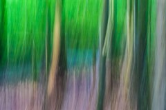 vision artistique